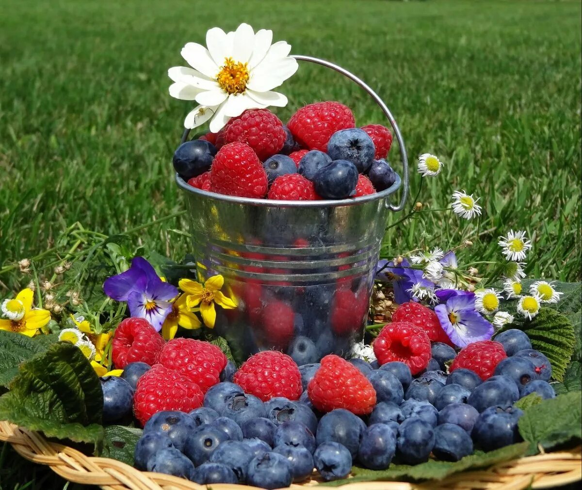 Ягодное лето. Букет цветов «летний». Цветочно ягодные. Ягоды эстетика. Букет из ягод и цветов.