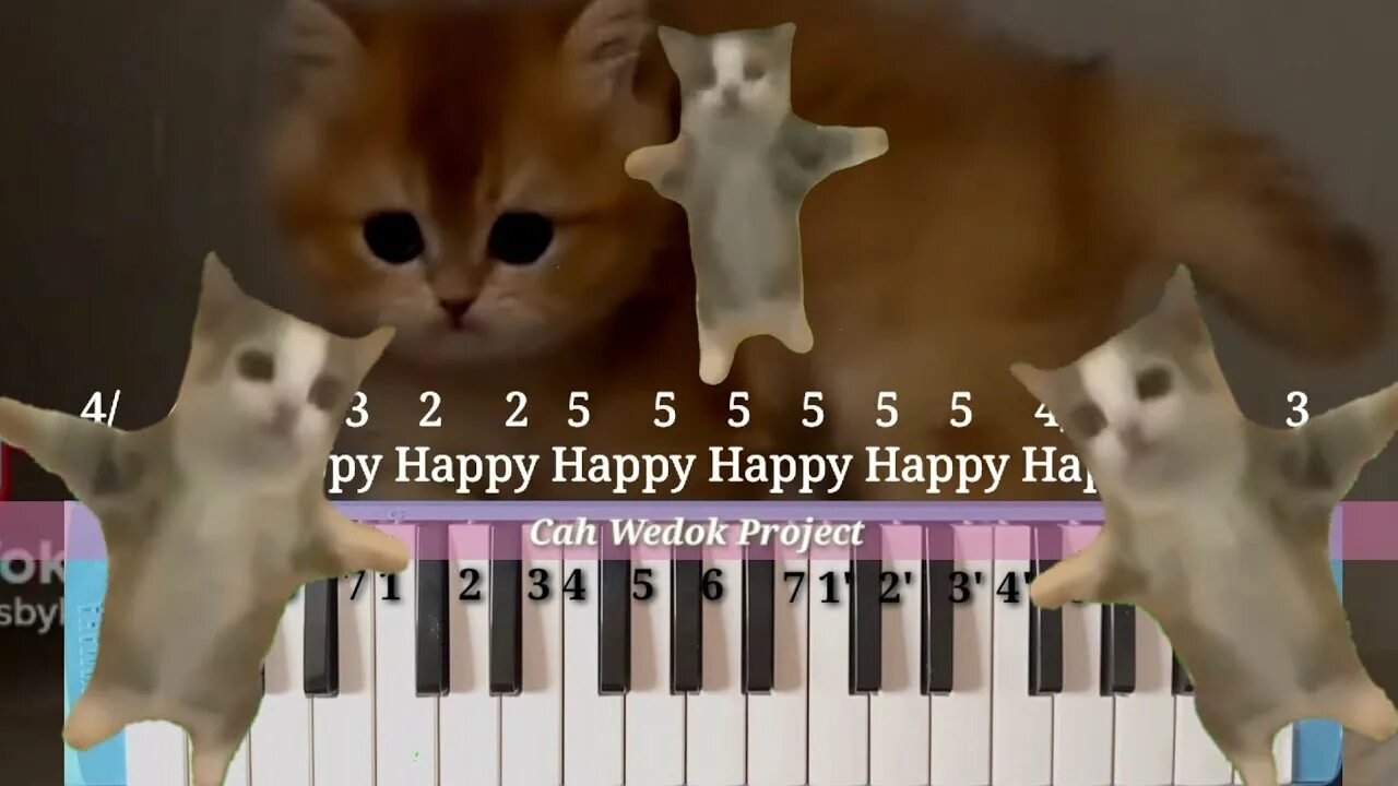 happy happy cat green screen download https://shrinke.me/Ab4Q link in comments -