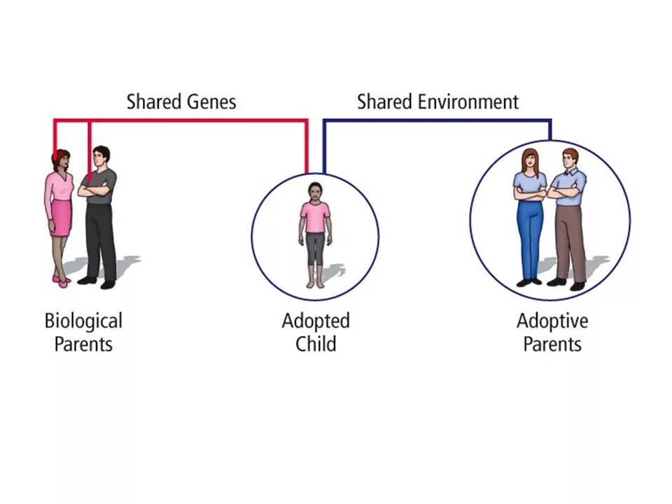 Which is adopted in. Child adoption. adopted. my biological parents are shit.