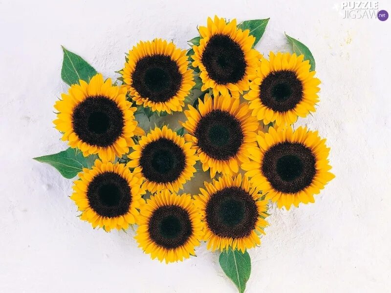 Download wallpaper 3840x2160 sunflower, flower, petals, bumblebee, macro 4k uhd 