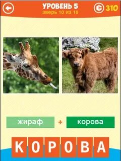 Животные уровень