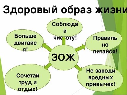 Реферат по физкультуре компоненты здорового образа жизни