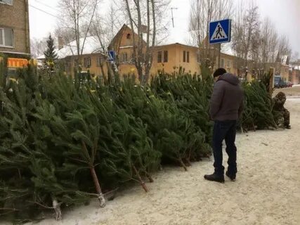Елочный базар пенза