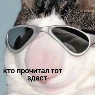 Кто что прочитал