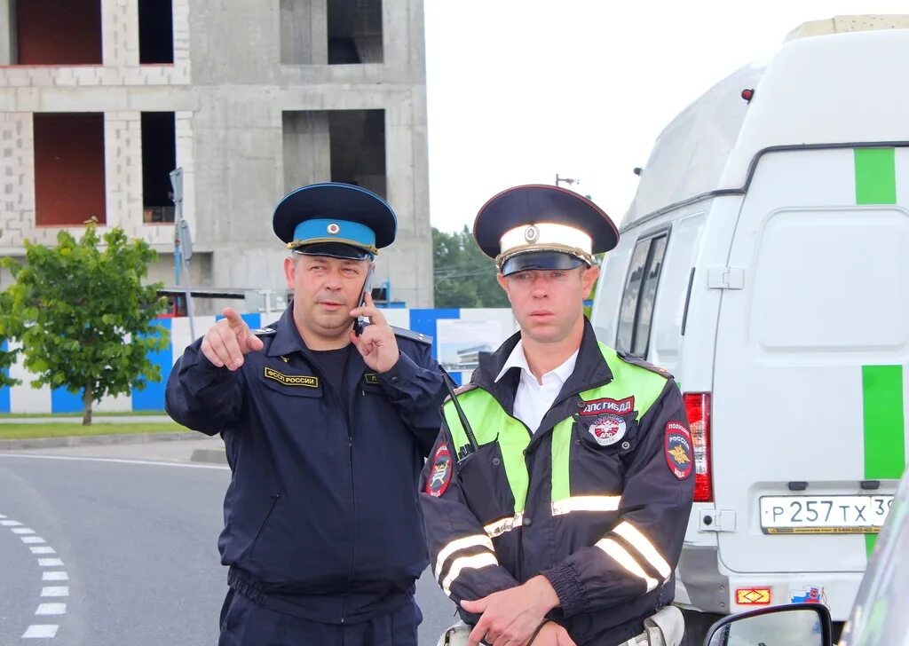 Дпс судебное