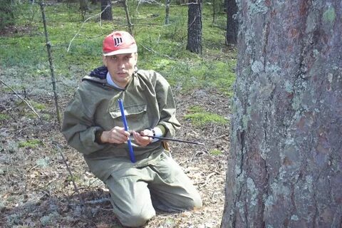 Враг леса