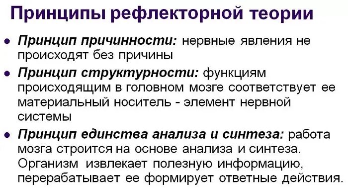 Рефлекторная деятельность нервной системы 8 класс. Рефлекс принципы рефлекторной деятельности. Рефлекторный принцип деятельности ЦНС. Рефлекторная теория Сеченова и Павлова. Принципы рефлекторной теории.