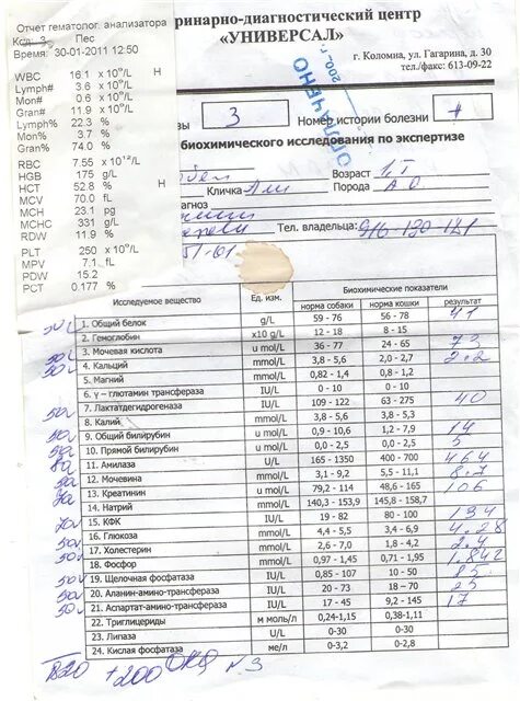 Какой анализ на аллергию на кошек. Анализ крови аллергика. Анализы на аллергию биохимия. Анализ кровь с вены на аллергены. Расшифровка анализа крови на аллергены.