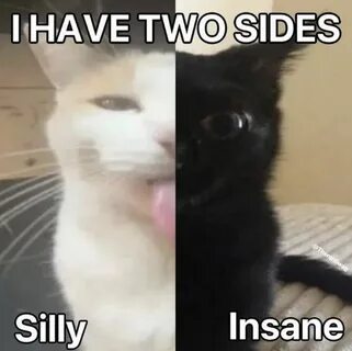 I have two books are good