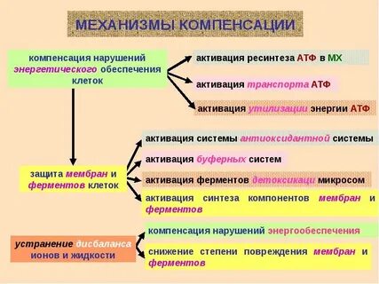 Компенсация это в патологии