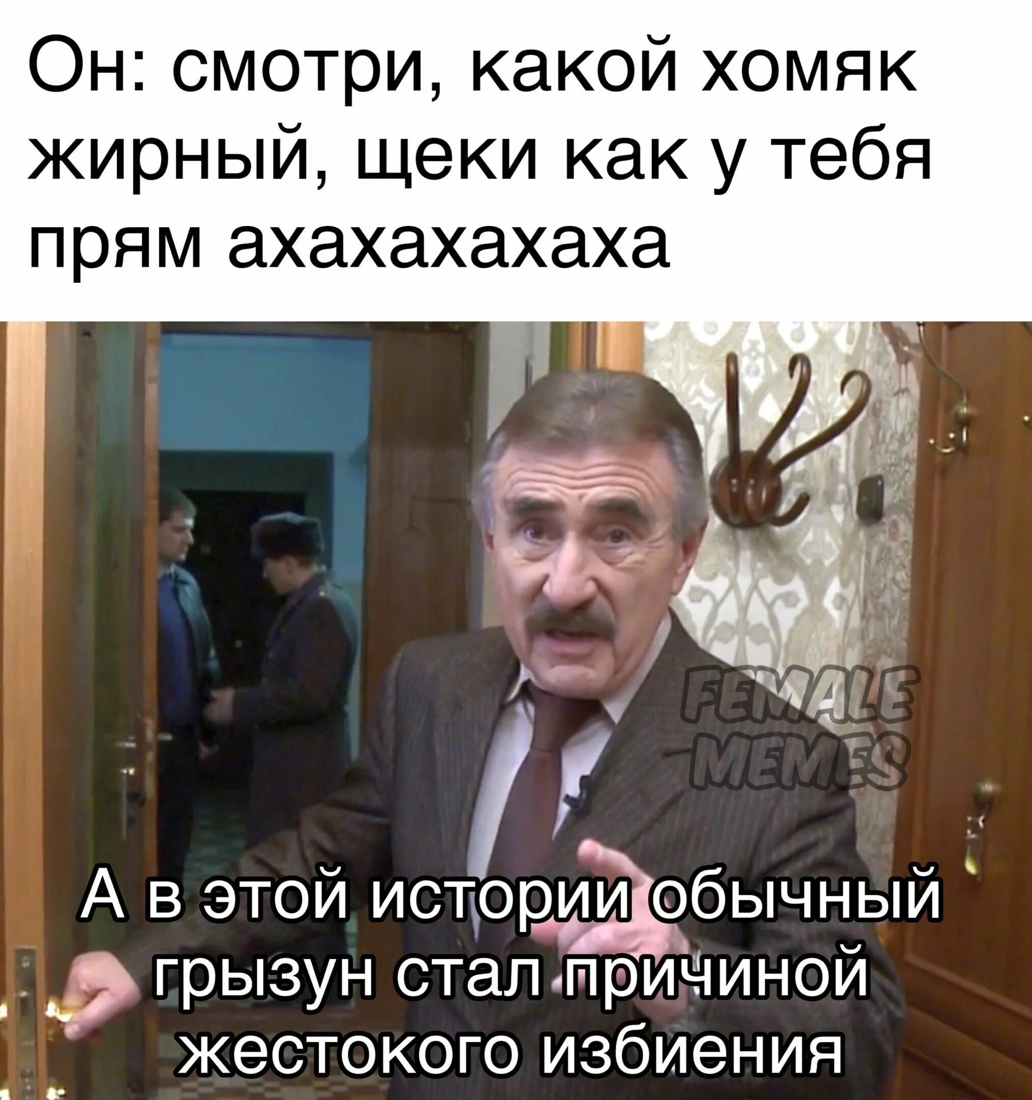 Фразы каневского