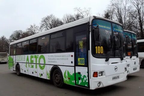 Автобус 100 спб