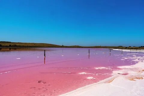 Красный озеро большой