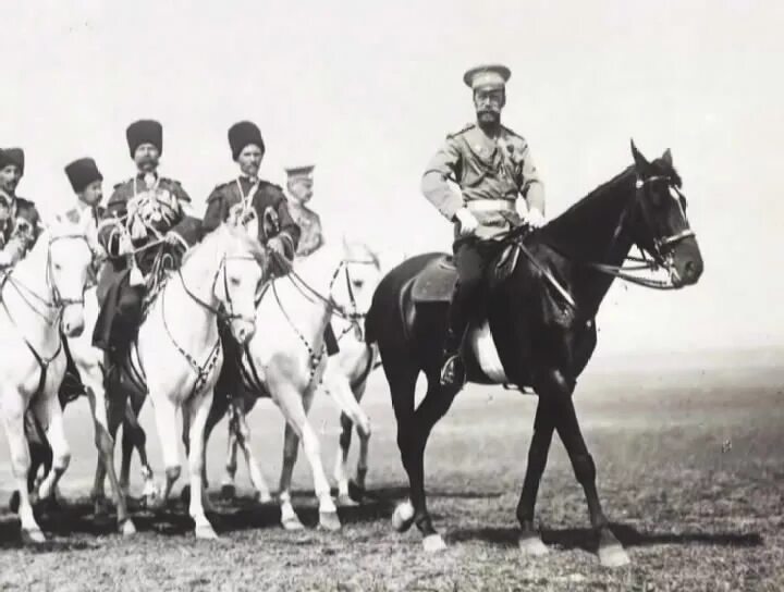 Эскадрон в. Гвардейский полевой жандармский эскадрон. Всадник эскадрона скаржинского. Кавказско горский полуэскадрон. Лейб-казаки форма 1812.