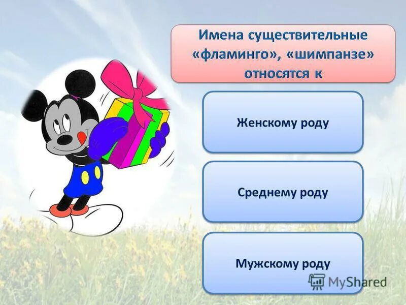 Пальто какой род существительного в русском языке. Какого рода слово кенгуру. Кенгуру какой род существительного в русском языке. Шимпанзе какой род существительного. Какого рода слово кенгуру в русском языке.