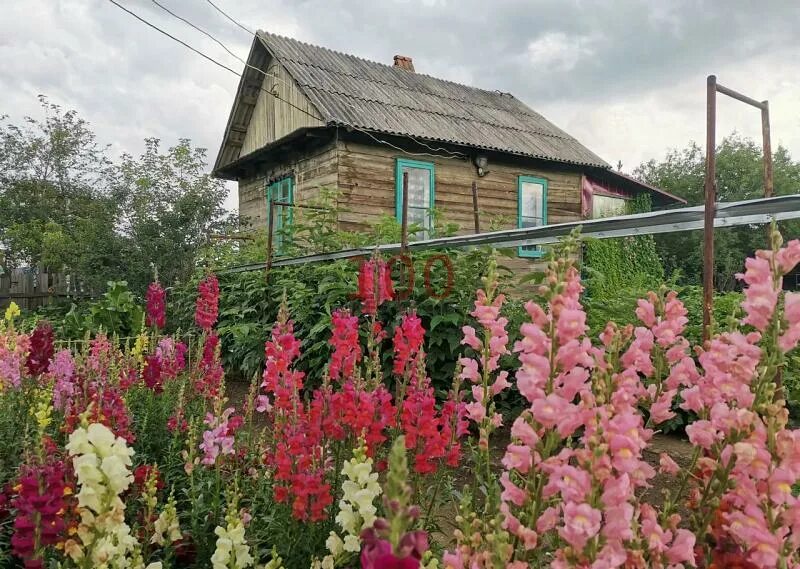 Ивановка чита. СНТ Машиностроитель Чита. СНТ ПСК. Чита дачный кооператив Поляны. СНТ ПСК 2.