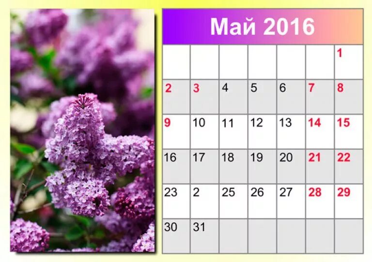 Календарь май. Май 2016 года календарь. Календарь на май месяц. Календарь мая 2016.