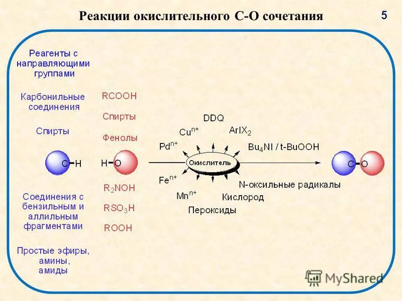 Вещество соответствующее общей формуле rcooh