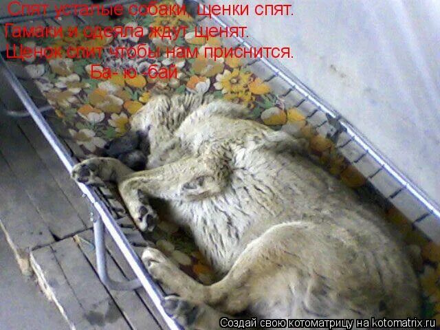 Приколы мемы про автомобили. Шрек а теперь мы приехали. Мемы про такси. Когда приехал в питер. Приколы про питер.