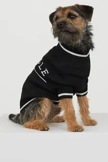 M dog