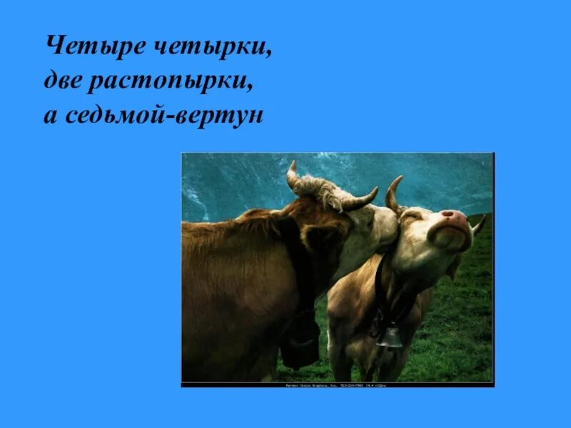 Две четырки две растопырки. Две четыре две растопырки седьмой вертун. Две четыре две растопырки седьмой вертун. Две растопырки загадка. Загадка четыре четырки две.