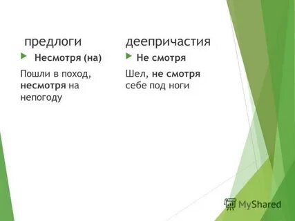 Не смотря на предлог
