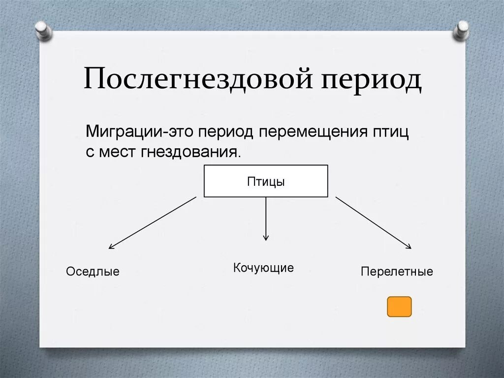 Послегнездовой период. Послегнездовой период схема. Годовой жизненный цикл птиц схема. Послегнездовой период птиц.