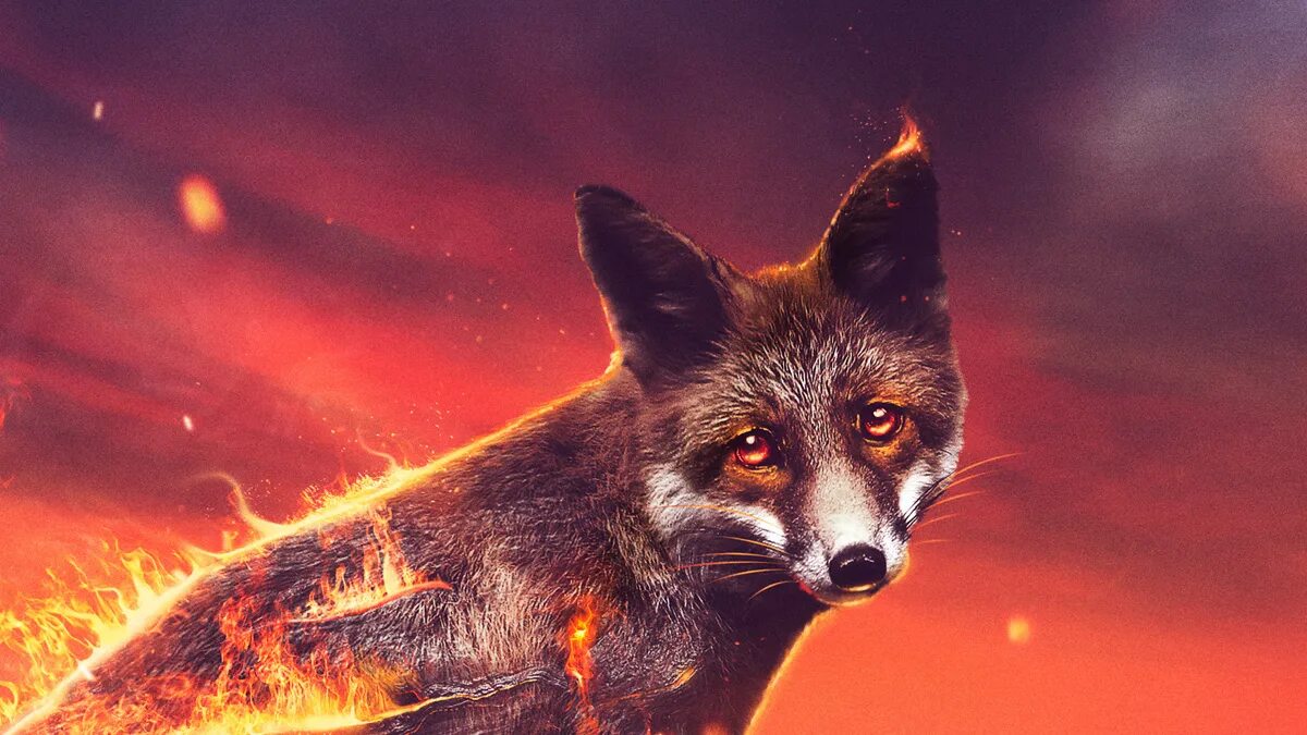 Flaming fox. Лисы в огне. Фаер Лис. Лиса в огне арт. Лисий огонь.