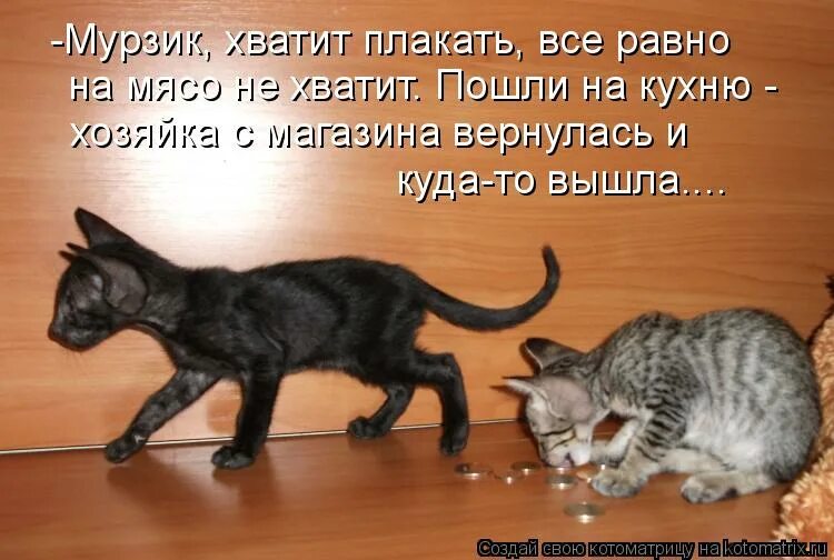 мне не хватает тебя мне не хватает. хватит плакать юмор. не хватает человека цитаты. фразы про налоги. не хватает я плакал.