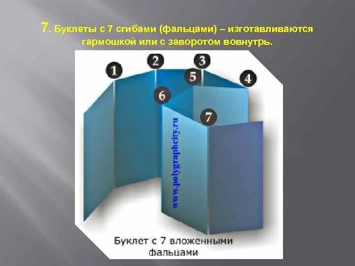 Буклет выполнила. Буклет гармошка 5 фальцев. Буклет с 5 фальцами. Буклет гармошка 6 фальцев. Буклет 5 фальцев.