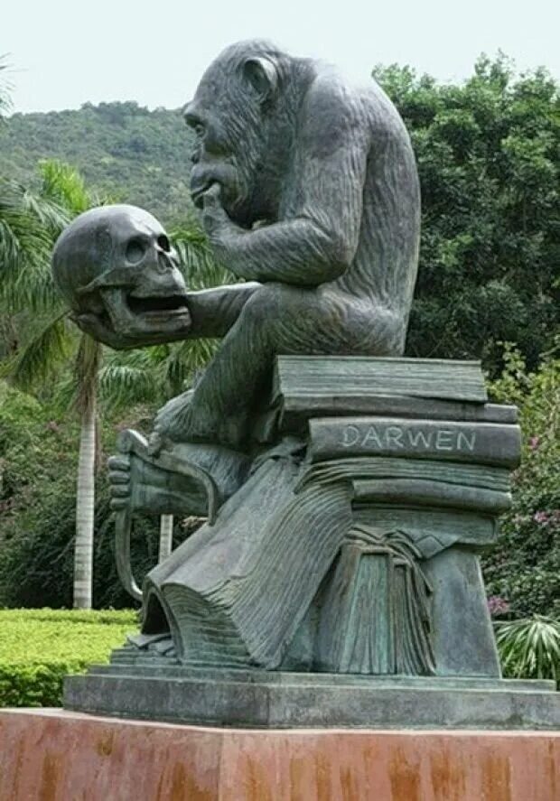 Памятник обезьяне - Хайнань. Необычные памятники. Необычные скульптуры. Забавные памятники. Почему люди создают необычные памятники