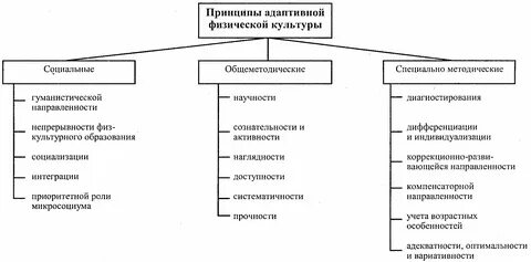 Принципы обучения физической культуре