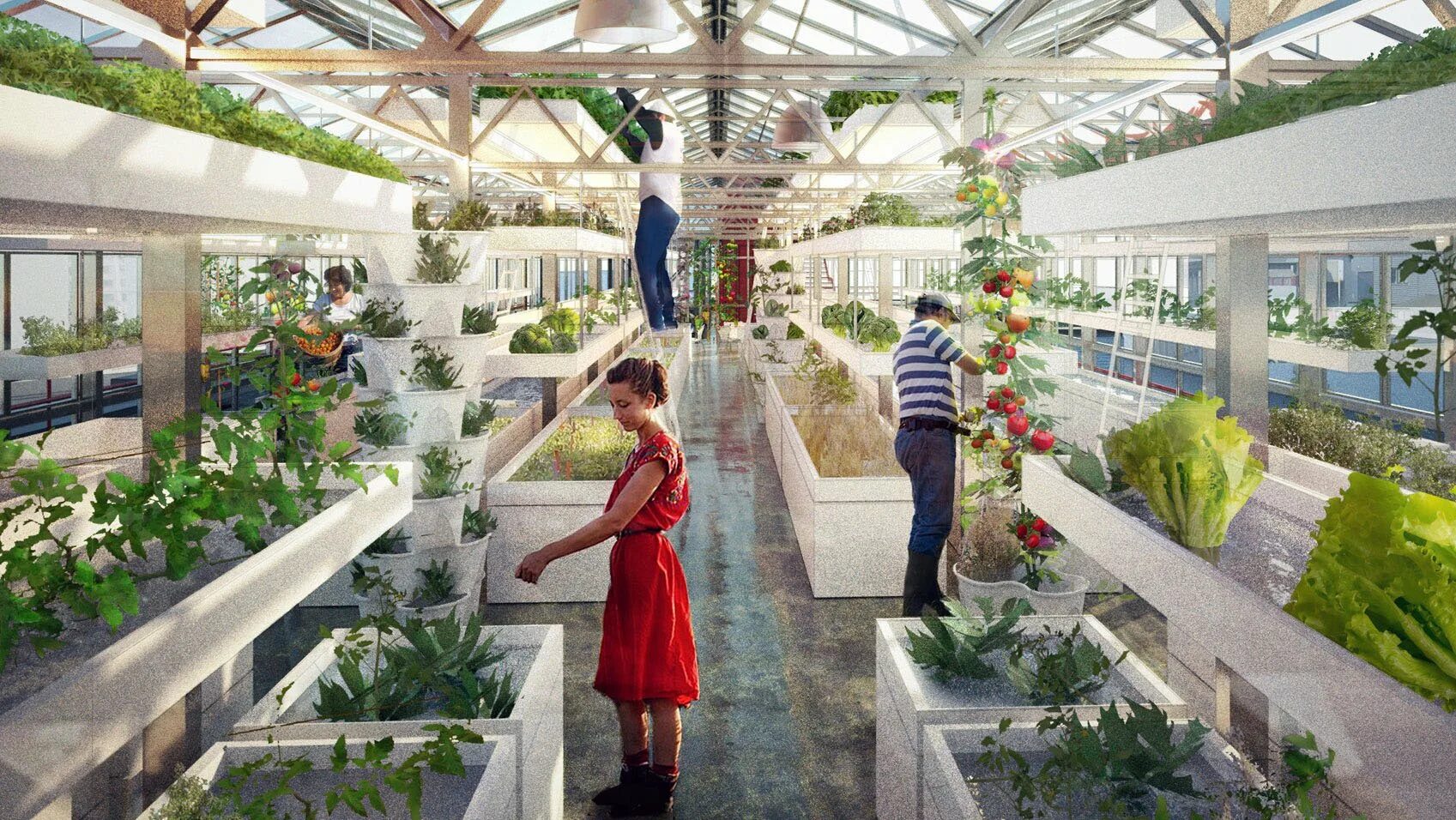 Ботанический сад цицина оранжерея. Вднх огород. Оранжереи ботанического сада мгу «аптекарский огород». Сингапур скай гринс вертикальная ферма. Ботанический сад вднх оранжерея.