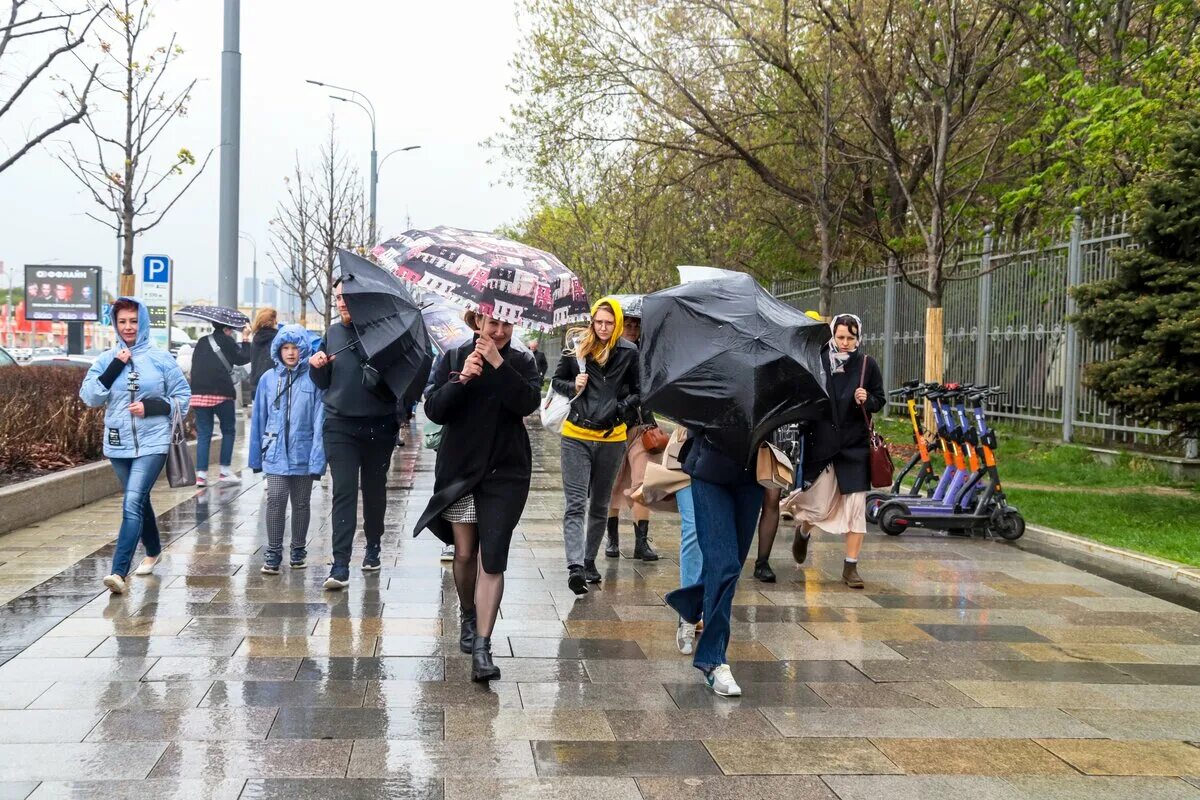 Сильные новости в москве. Дождливая погода. Ветер в Москве. Новости Москвы. Дождь сентябрь Москва.