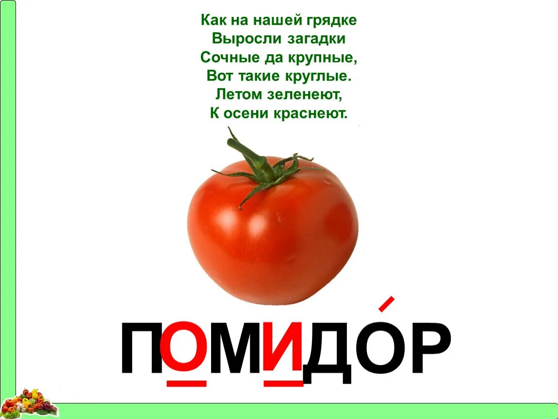 Словарные овощи. Слово помидор. Помидор словарное слово. Как на нашей грядке выросли загадки. Словарное слово помидор в картинках.