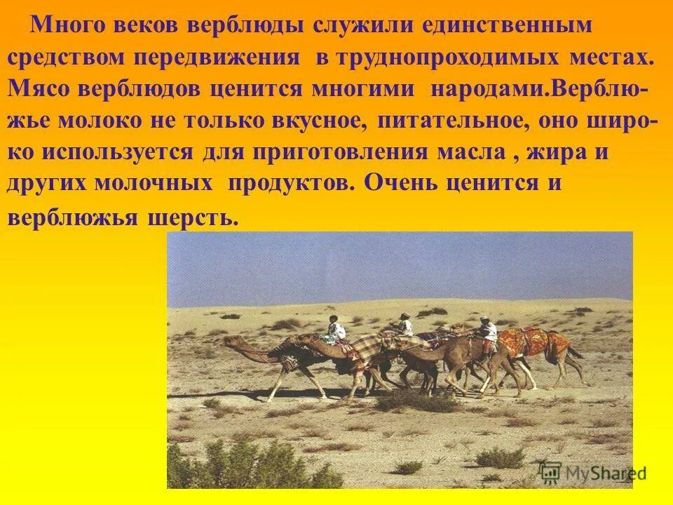 Использование пустыни человеком 4 класс окружающий мир. Человек в пустыне для презентации. рассказ о пустынях 4 класс. сообщение по пустыне. презентация на тему жизнь в пустыне.