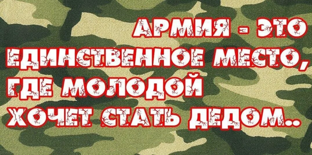 Словом стал дед. Плакаты на проводы в армию. Стихи про армию прикольные. Стихи про дембель. Плакаты на проводы в армию смешные.