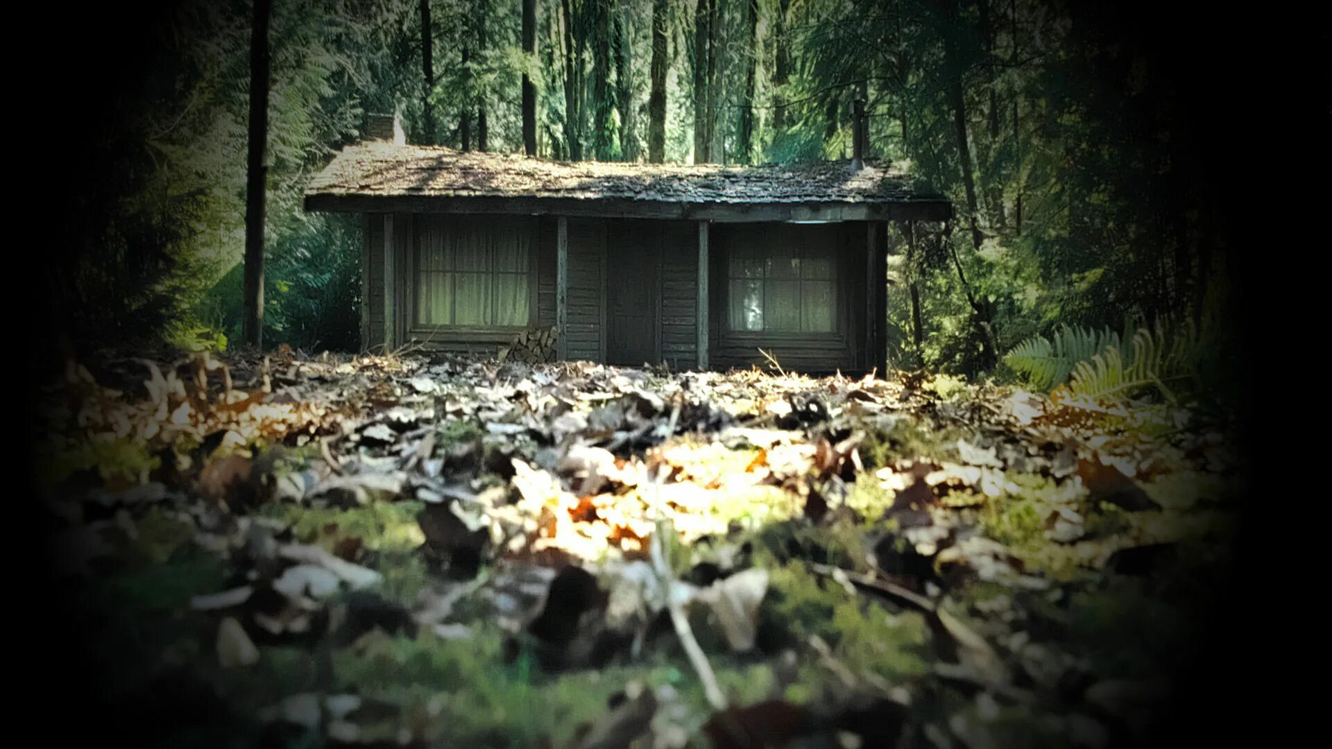 Ужасы про дом в лесу. Хижина в лесу / the wood (2011). хижина в лесу фильм дом. хижина в лесу хижина.