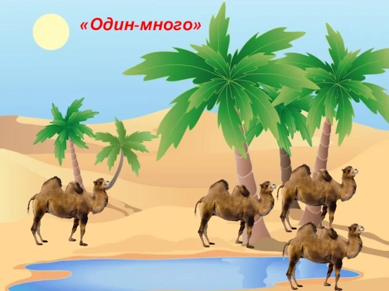 Неделя в жаркие страны. Животные жарких стран один много. математические пазлы животные жарких стран. один много зоопарк. жаркие страны для детей.