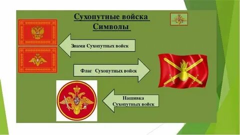 Какое количество сухопутных соседей
