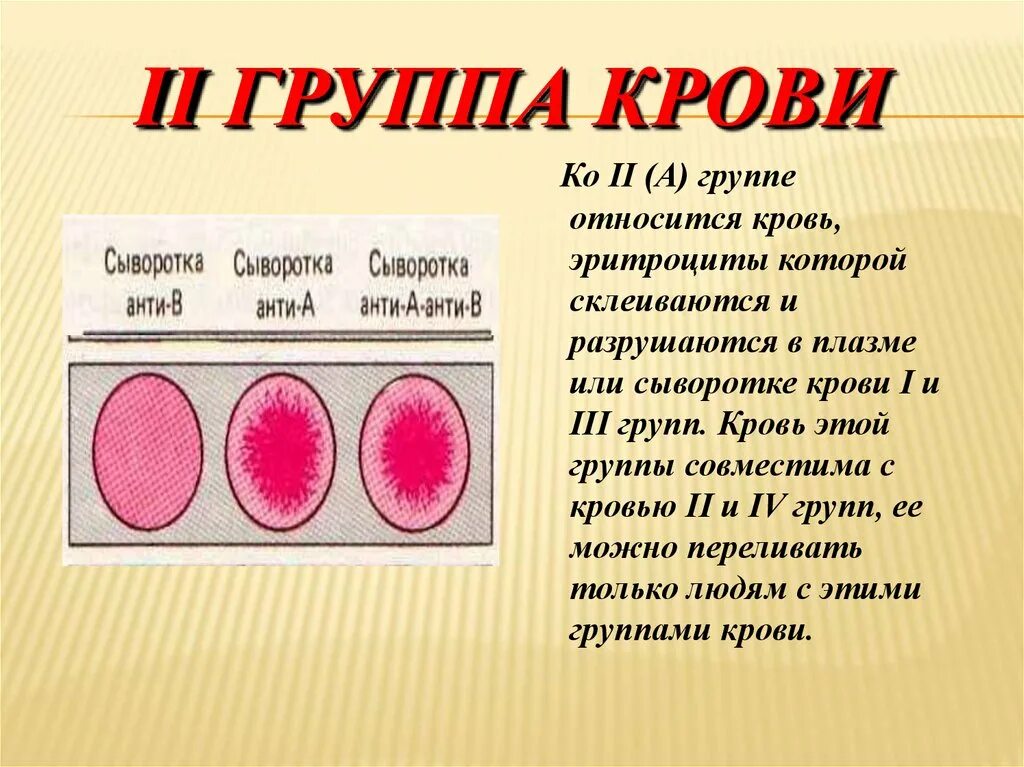 В iii какая группа крови. Группа крови. Вторая группа крови. А II группа крови. Gruppa krova.