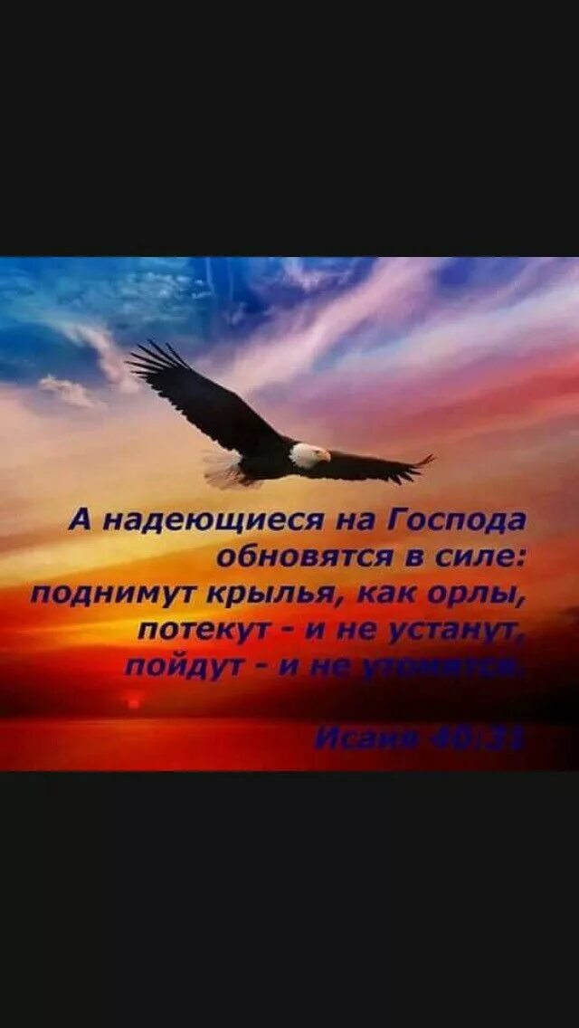 Надеющиеся на господа поднимут крылья как орлы. Надеющиеся на господа обновятся в силе. а надеющиеся на господа обновятся в силе поднимут крылья как орлы. надеющиеся на господа. надейся на господа.