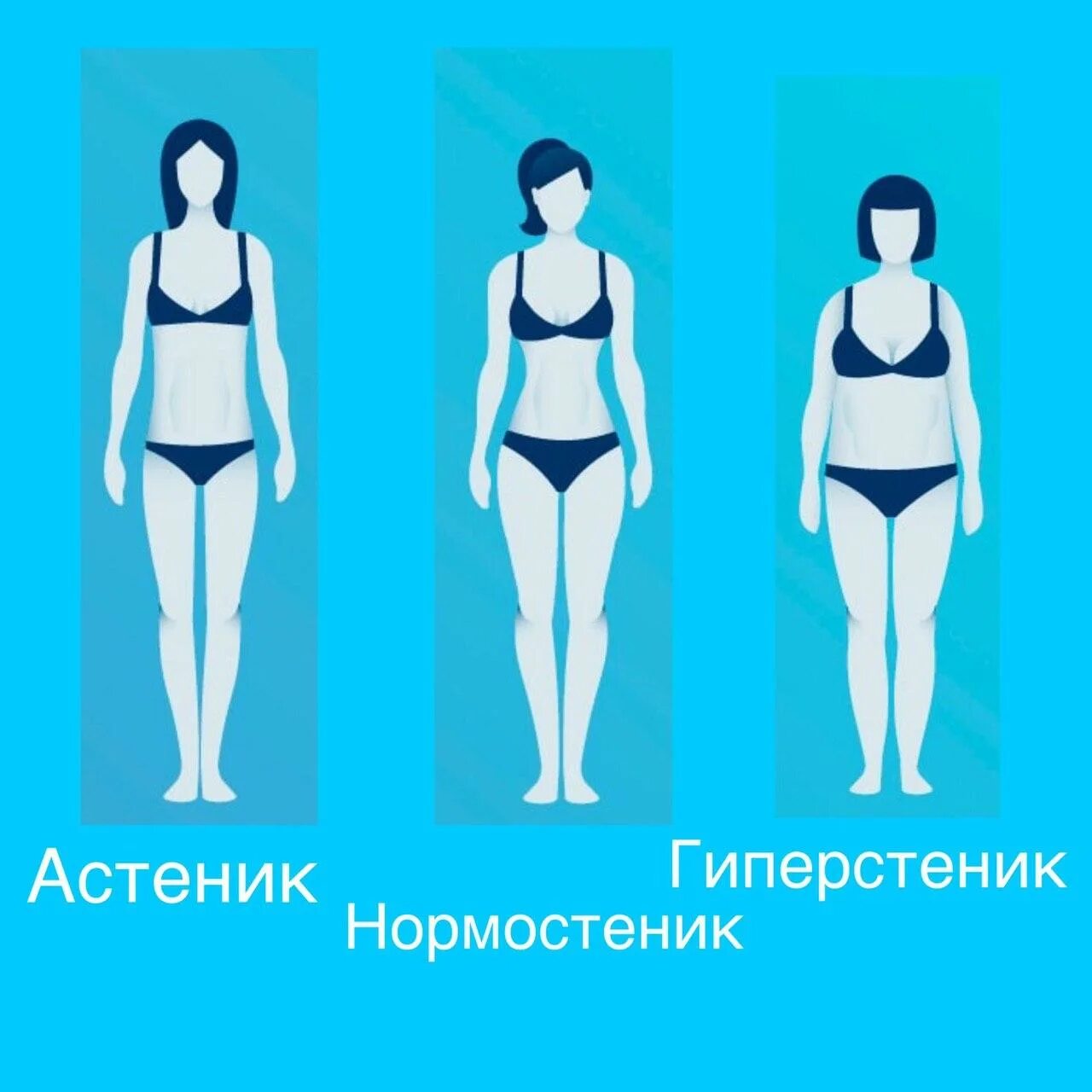 Типы телосложения девушек. Астеник тип телосложения у женщин. типы фигур у женщин астеник. астеник нормостеник гиперстеник женщины. тип фигуры эктоморф.