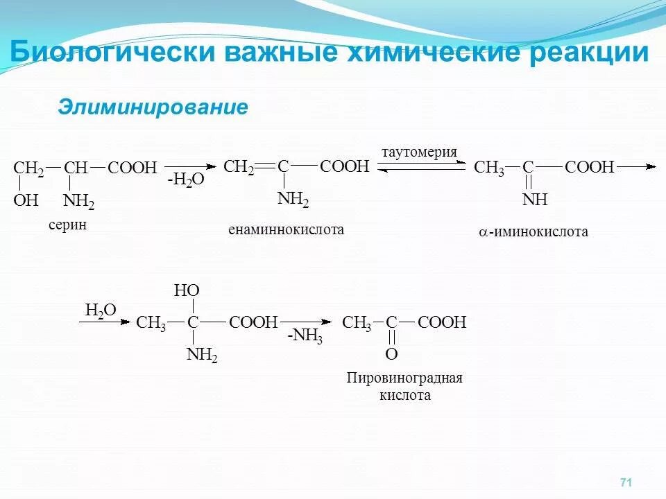 Глицин гидролиз реакция. Реакция элиминирование аминокислот. элиминирование серина. . реакция элиминирования для аминов. элиминирование треонина.