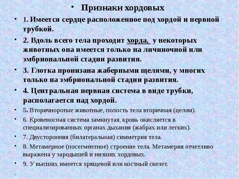 Особенности хордовых. Общая характеристика хордовых. Характерные признаки хордовых. Особенности типа хордовых.