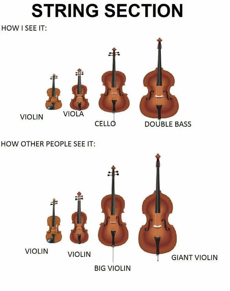 Strings section