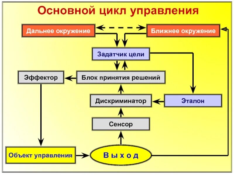 Блок принятия решений. Цикл управления. Блок схема цикла управления. Циклы управления по цели.