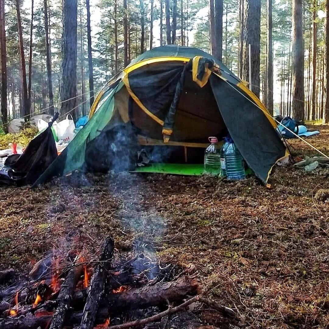 Палатка в лесу. Поход с палатками. Поход в лес. Палатка для похода в лес. Travel camp