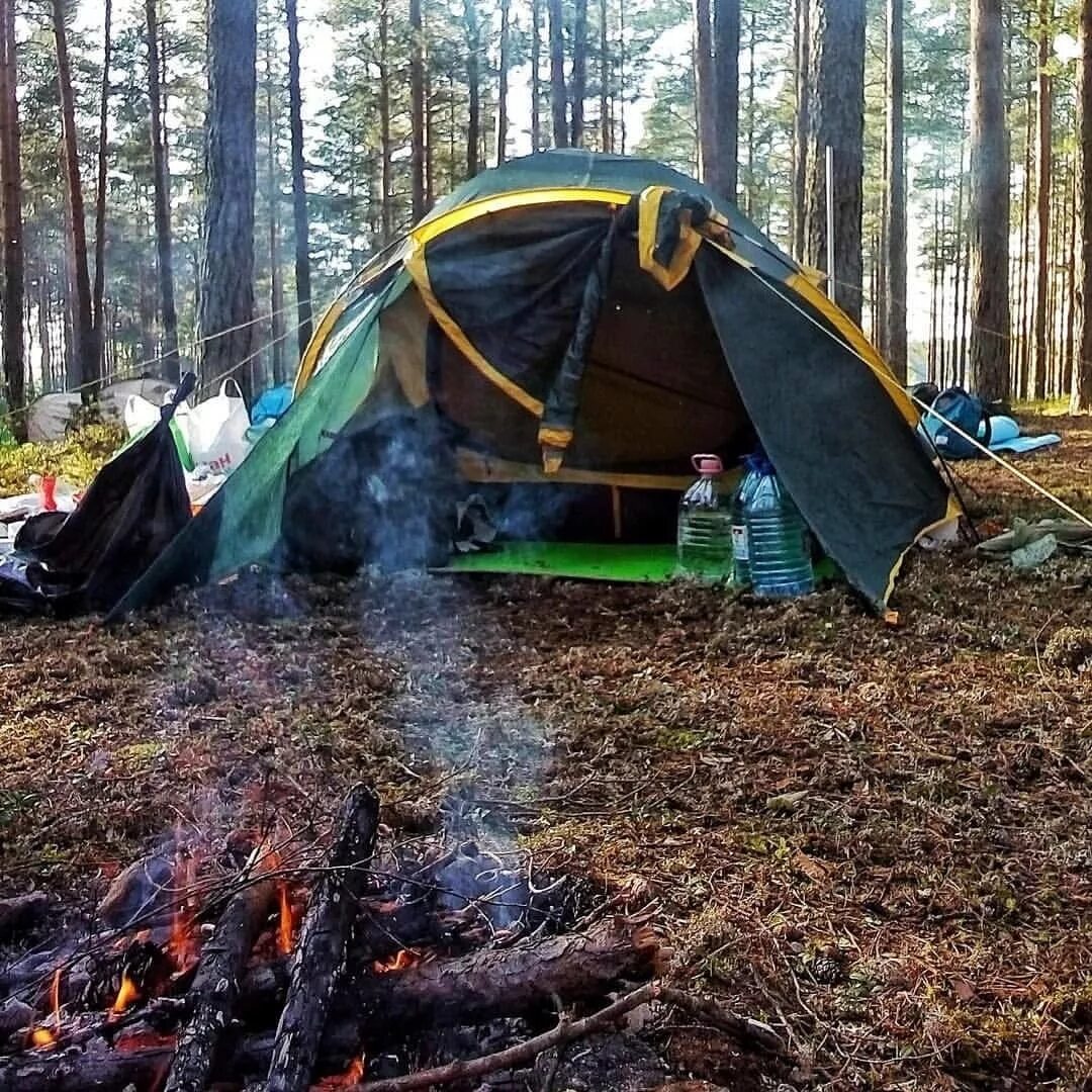 Поход без ночевки. Палатка в лесу. поход с палатками. туризм с палатками. поход в лес.