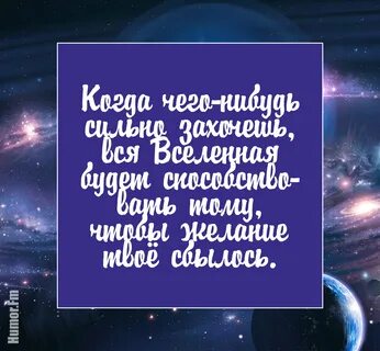 Алхимик цитаты
